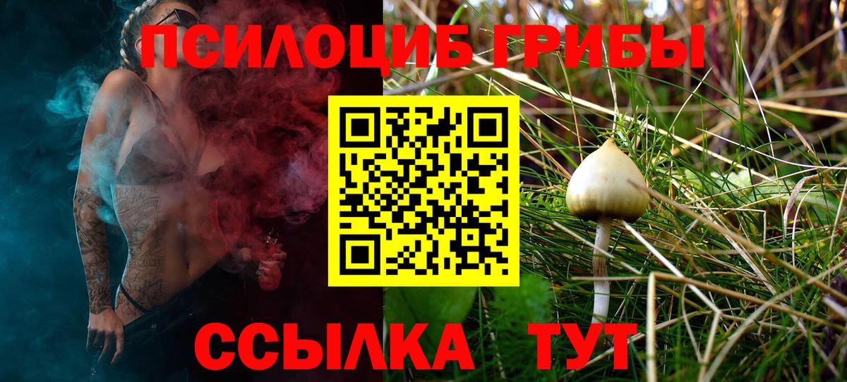 Псилоцибиновые грибы ЛСД Нововоронеж