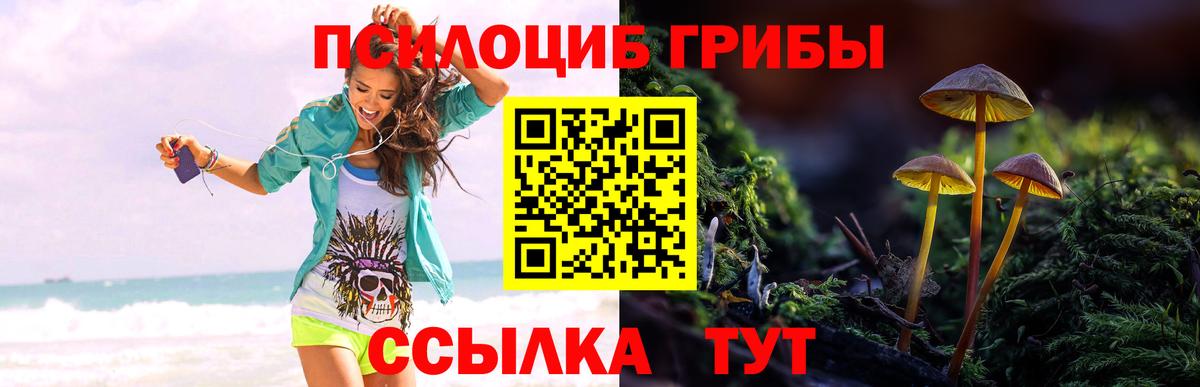 даркнет сайт  Галлюциногенные грибы Psilocybe  Нововоронеж  Вход с VPN  Псилоцибиновые грибы MAGIC MUSHROOMS 